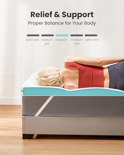 Dreamsmith Queen Mattress Topper - 3 Inch Cooling Gel Memory Foam Pad
