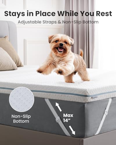 Dreamsmith Queen Mattress Topper - 3 Inch Cooling Gel Memory Foam Pad