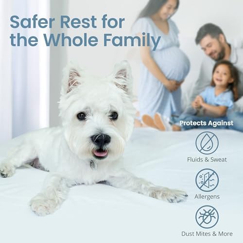 SafeRest Zippered Mattress Protector for Queen 12-15 Inch 1