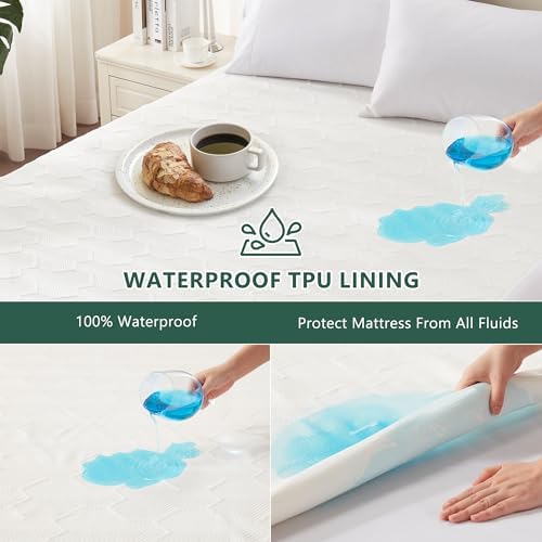 FELTYBED Queen Waterproof Mattress Protector 1