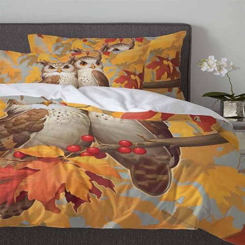 LooPoP Fall Duvet Cover Set 3 Pieces Owl Pattern Twin Size