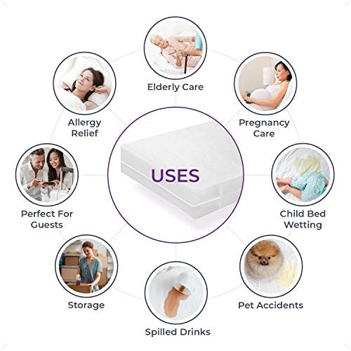 Blissford Vinyl Zippered Queen Mattress Protector