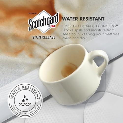 Queen Size Bed Bug Proof Mattress Encasement 3M Scotchgard