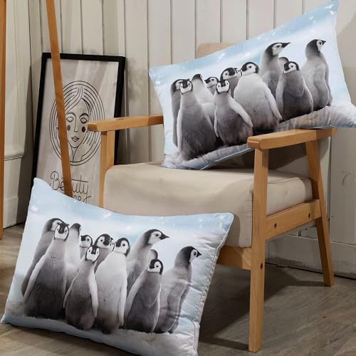 Smell Sunshine Penguin Sheets Set 4Pcs for Kids