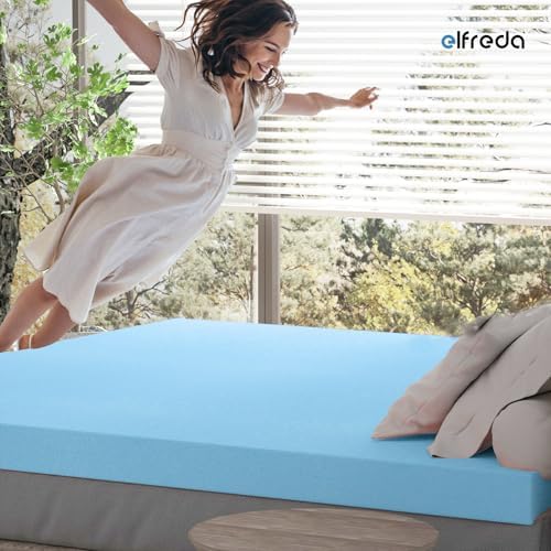Elfreda 3 Inch Pressure-Relieving Mattress Topper