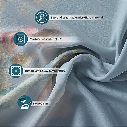 HOBBOY Blue Sky White Daisy Duvet Cover Set 3 Piece Twin XL