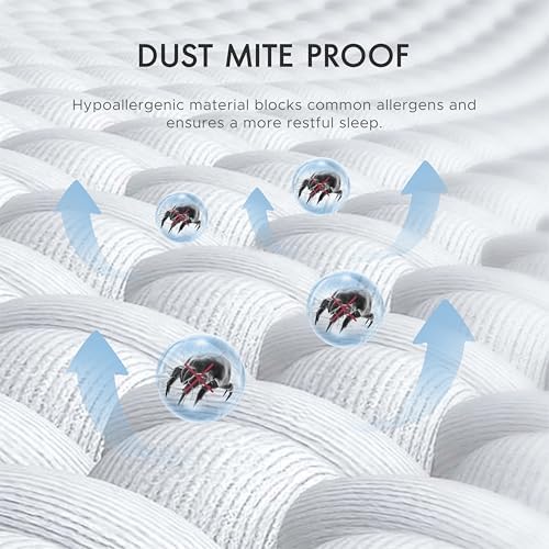 Queen Size Bed Bug Proof Mattress Encasement 3M Scotchgard