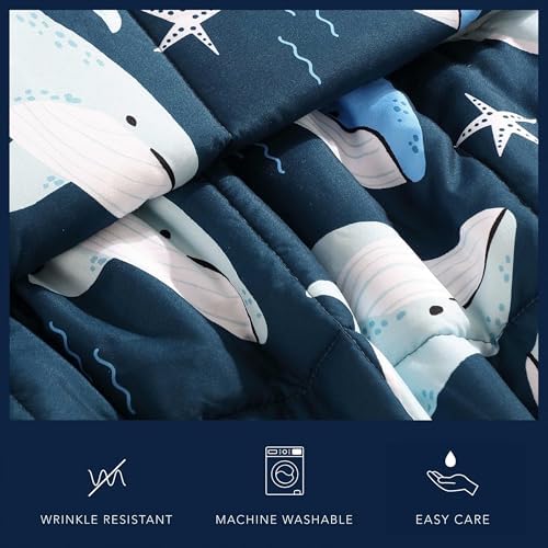 Nautica Kids Comforter Set with Shams and Pillow 1