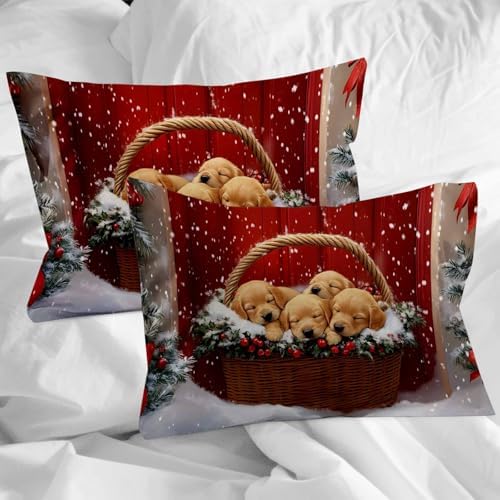 LooPoP Christmas Duvet Cover Set 4PCS California King 1