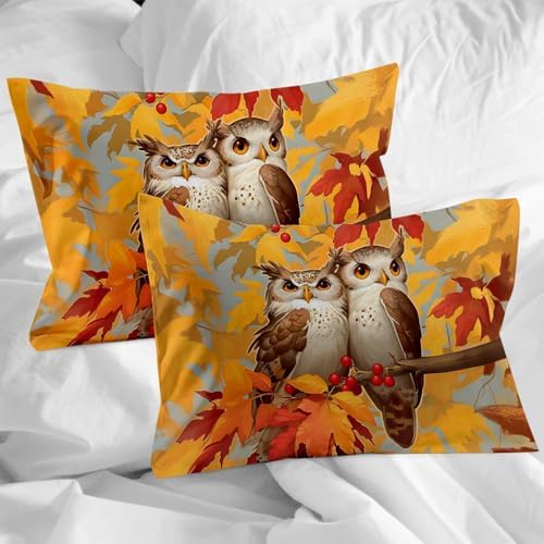 LooPoP Fall Duvet Cover Set 3 Pieces Owl Pattern Twin Size