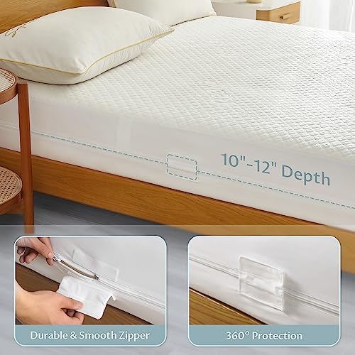 Reaks Queen Size Mattress Protector with Zipper