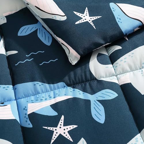 Nautica Kids Comforter Set with Shams and Pillow 1
