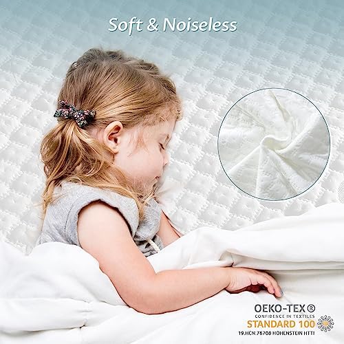 Reaks Queen Size Mattress Protector with Zipper