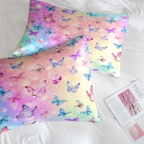 Pink Blue Butterfly Comforter Set Twin Size 5 Pcs