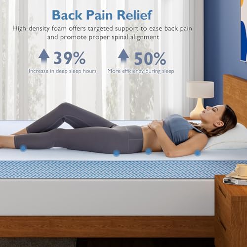 BedStory 3 Inch Firm Mattress Topper Queen Size