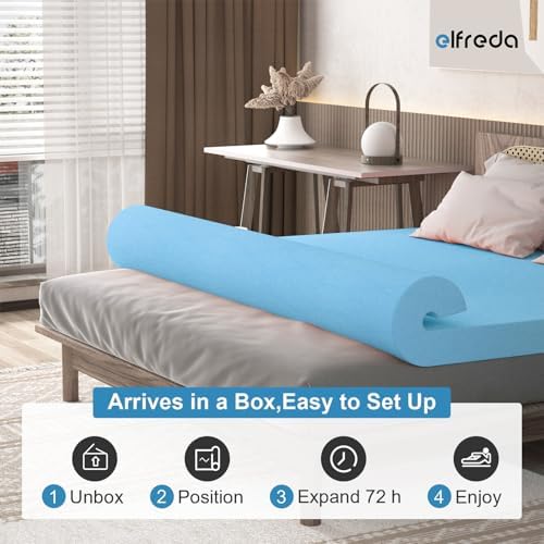 Elfreda 3 Inch Pressure-Relieving Mattress Topper