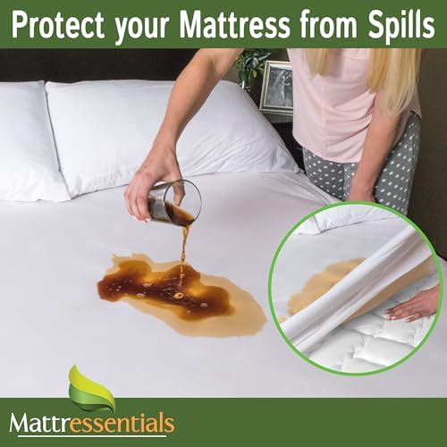 Zippered Queen Mattress Protector - Waterproof Bed Bug Cover 1
