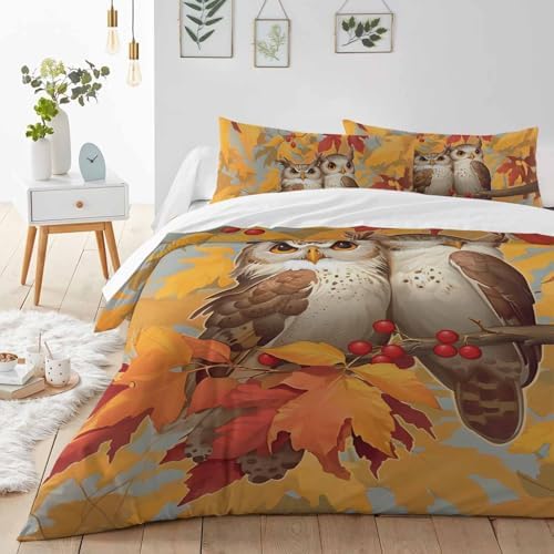 LooPoP Fall Duvet Cover Set 3 Pieces Owl Pattern Twin Size